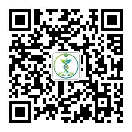 微信公众号二维码
